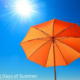 photo of umbrella and sun