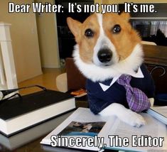 Rejection Corgi with the caption... Dear Writer: It's not you. It's me. Sincerely, The editor.