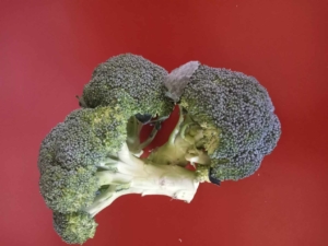 Photo of broccoli 