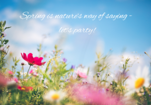 spring flowers with blue sky in background